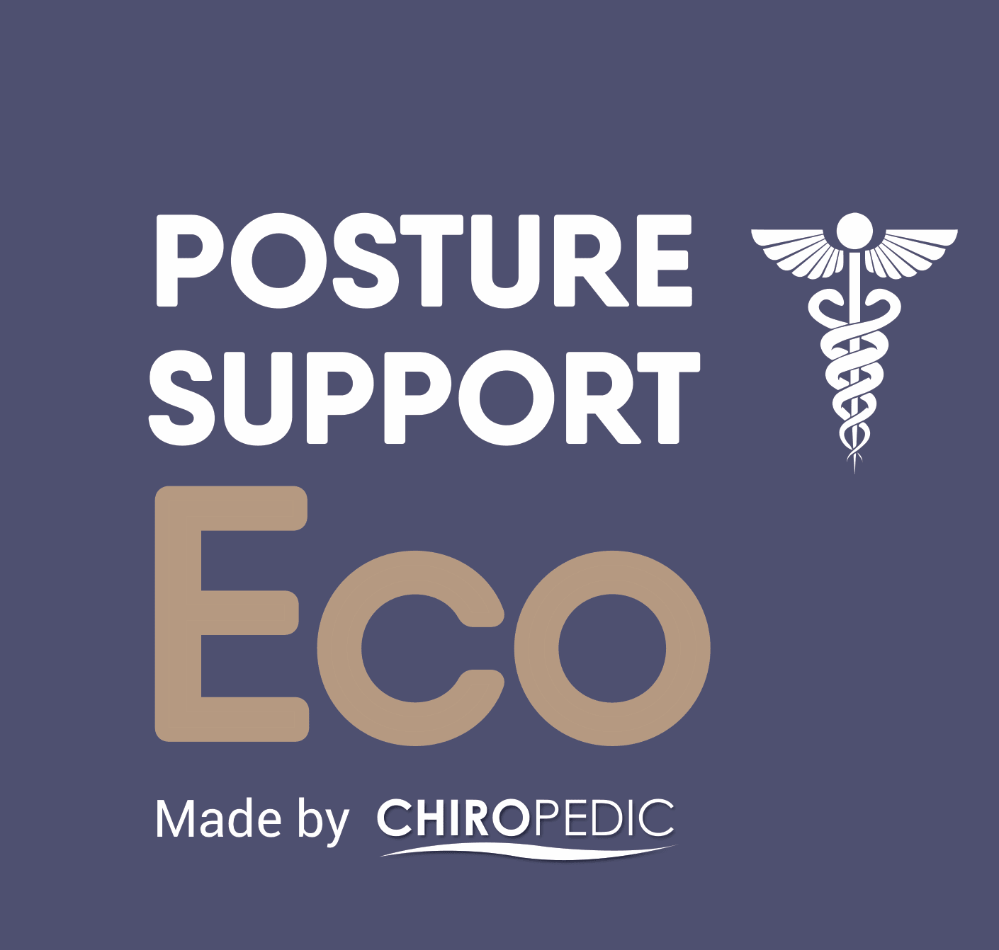 Posture Support Eco Firm image 1