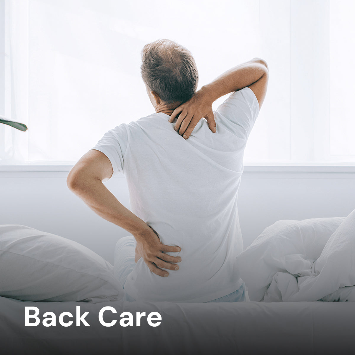 Chiropedic Bedding