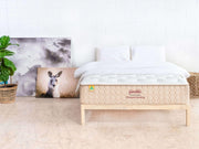 Yinahla Classic Comfort image 0